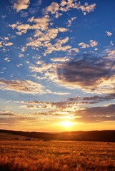 The sun in the west meadow