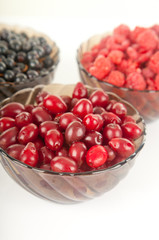 different fresh berries: raspberries, currant, dogwood berries