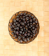 dogwood berries