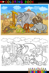 safari wild  animals cartoon for coloring book