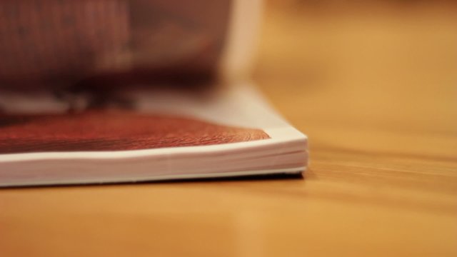 sfoglia pagine di libro, rivista o catalogo