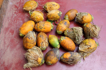 Betel Nut or Areca Nut