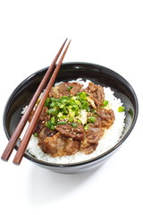 Beef bowl , japanese food