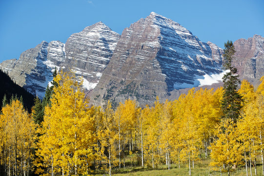 Snowy mountains and yellow trees