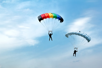 unidentified skydivers on blue sky - obrazy, fototapety, plakaty