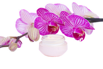 moisturizer cream and orchid flower