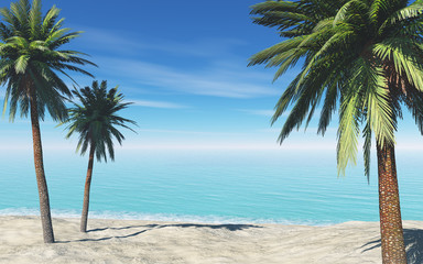 Fototapeta na wymiar palms on the beach