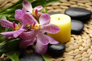 Beautiful orchid with massage stones