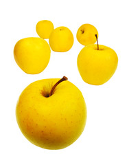 Yellow apples, isolated