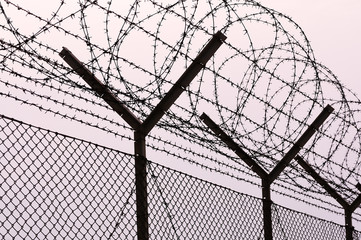 barbed-wire fence at sunset