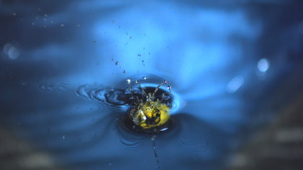 Habanero chili falling in water in slow motion - Powered by Adobe