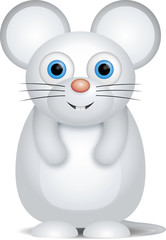 kleine weiße Maus
