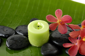 green candle and white flower and stones on green leaf