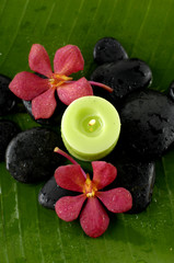 green candle and red orchid flower and stones