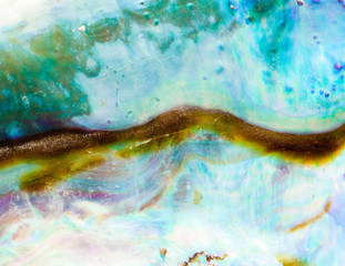 Shiny nacre of Paua or Abalone shell background