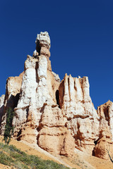 Famous hoodoo rocks at Bryce Canyon