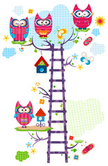 owl`s tree