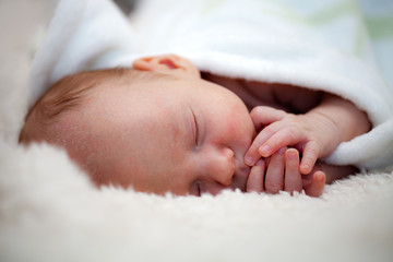 Newborn baby boy