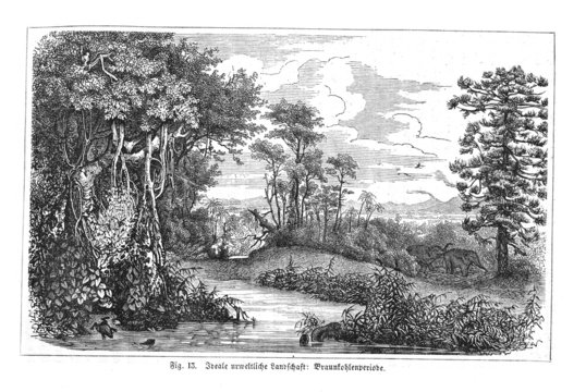 Urweltliche Flusslandschaft (Alte Lithographie)