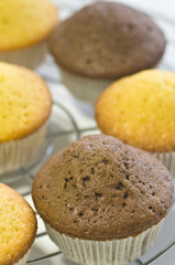 Muffins