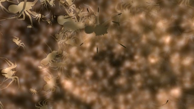 Spooky Spiders Animation