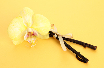 Vanilla pods with flower, on yellow background