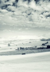 cloudy snow fields