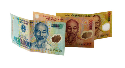 Vietnamese money isolated