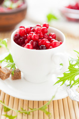 ripe cranberries in a white cup