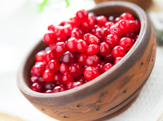 cranberries in a ceramic bowl