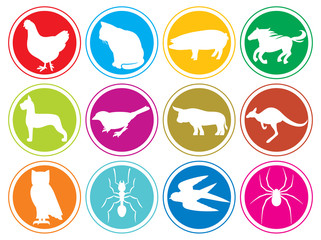 animals icons buttons