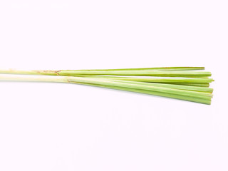 Fresh Lemongrass isolated on white background