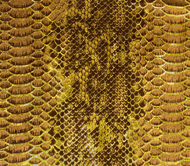 Snake skin background