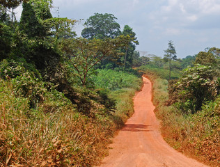 Terre d'Afrique, Côte d'Ivoire