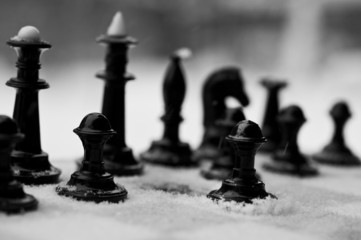 winter chess pieces