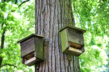 birdhouse