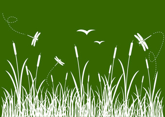 Roseli&egrave;re et ses libellules - fond vert