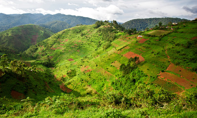 Landscape in southwestern Uganda, at the Bwindi Impenetrable Forest National Park, at the borders of Uganda, Congo and Rwanda. The Bwindi National Park is the home of the mountain gorillas. - 48868000