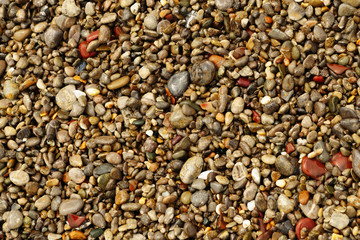 Multicolored sea pebbles