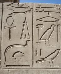 Egyptian hieroglyphic carvings on wall