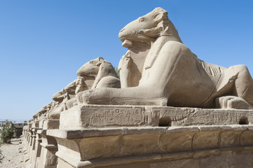 Ram sphinxes at Karnak temple