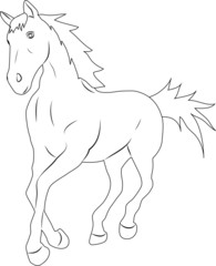 Silhouette of a horse jump young stallion running