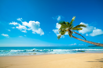 Tropical beach