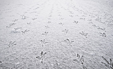 avanti tutti insieme!