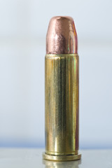 .38 Special round nose FMJ round