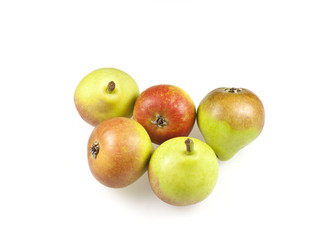 Paradise pears also known as Faccia Bella Pears