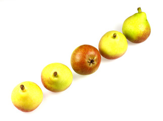 Paradise pears also known as Faccia Bella Pears