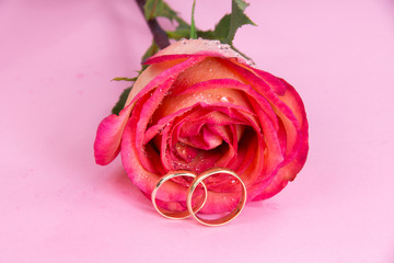 Wedding rings with rose