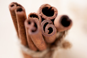 Obraz na płótnie Canvas Bundle of cinnamon sticks, view from above, shallow DOF