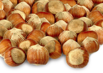 many nuts